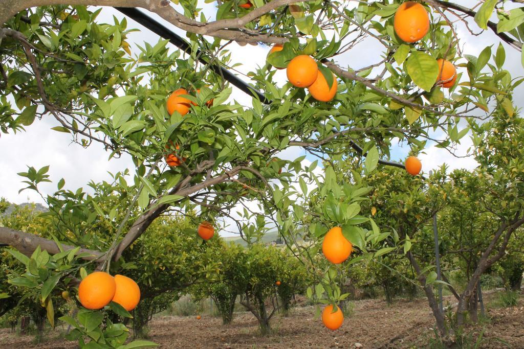 Tenuta Lanza Il Mulino Acquaviva Platani Екстериор снимка