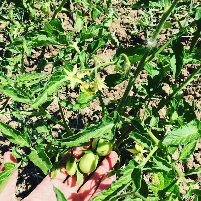 Tenuta Lanza Il Mulino Acquaviva Platani Екстериор снимка